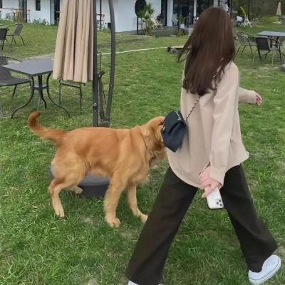 终极特警第四季